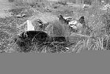 waste deposit_008